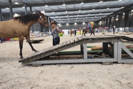 Animaltech Brno
