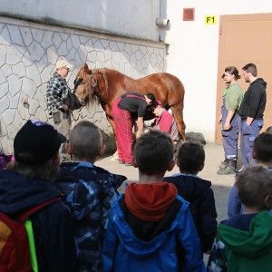 Podpora technického vzdělávání v mateřské školce 2