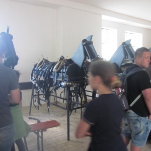 Podkováři v Kladrubech